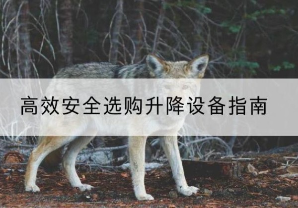 景县升降货梯厂家推荐-*安全选购升降设备指南
