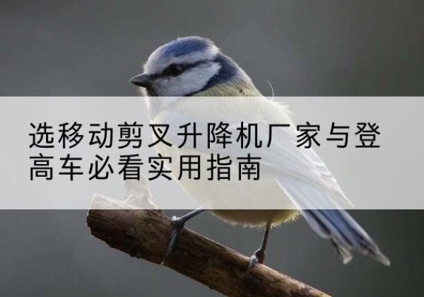 景县电动升降机厂家-选移动剪叉升降机厂家与登高车必看实用指南