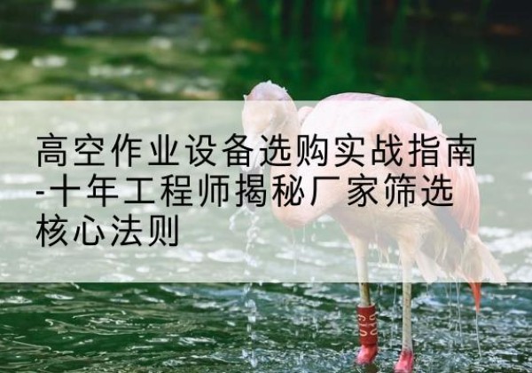 景县剪叉式升降机厂家-高空作业设备选购实战指南-十年工程师揭秘厂家筛选核心法则